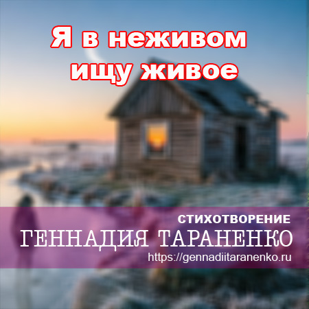 Я в неживом ищу живое.... Стихи Геннадия Тараненко